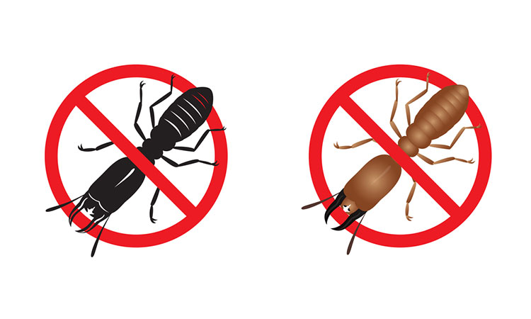 حدث مشكلة فى تحميل الصورة